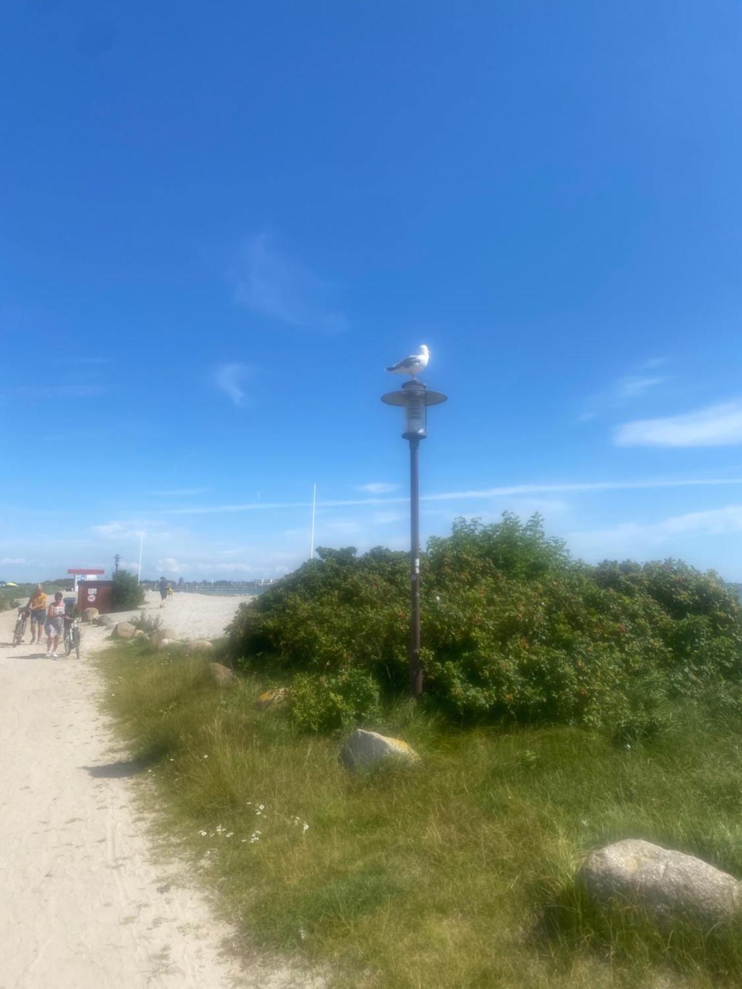 Wohnwagen Auf Dem Wulfenerhals Ca 150M Bis Zum Meer Fehmarn Extérieur photo